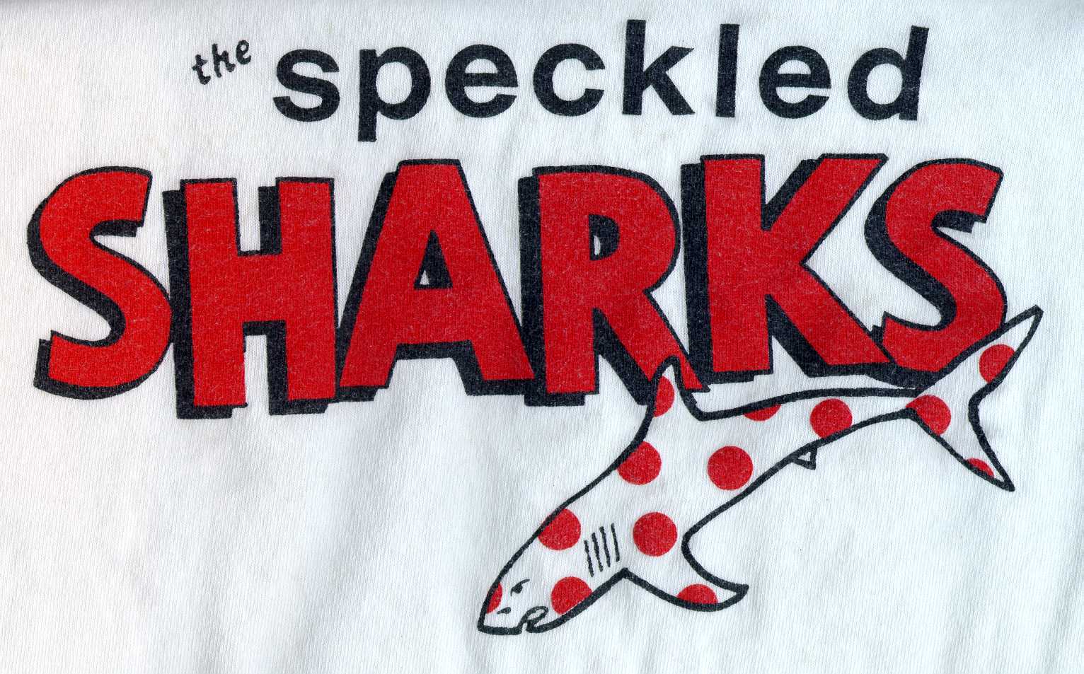Speckled Sharks.jpg (206289 bytes)